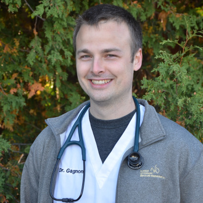 Dr Alexandre Gagnon, vétérinaire