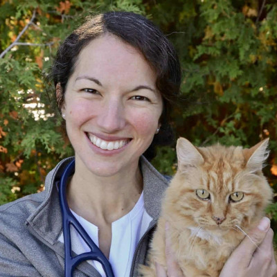 Dre Johannie Demers, vétérinaire